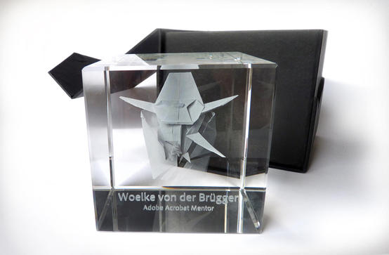 Adobe: Acrobat Mentor - Award